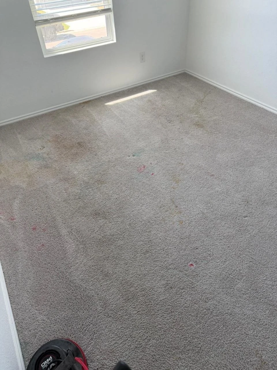 Carpet before cleaning with visible stains